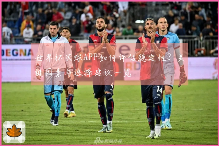 世界杯买球APP如何评估稳定性？关键因素与选择建议一览