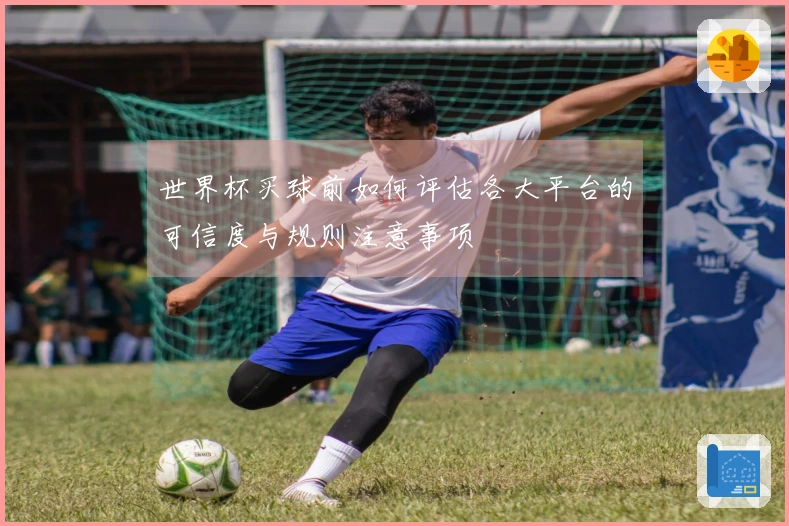 世界杯买球前如何评估各大平台的可信度与规则注意事项